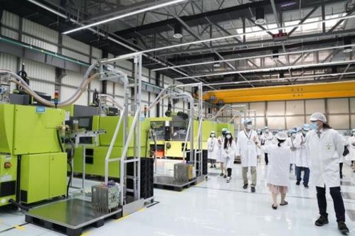 以质量和严谨著称的德企，为何落户临港经济技术开发区？