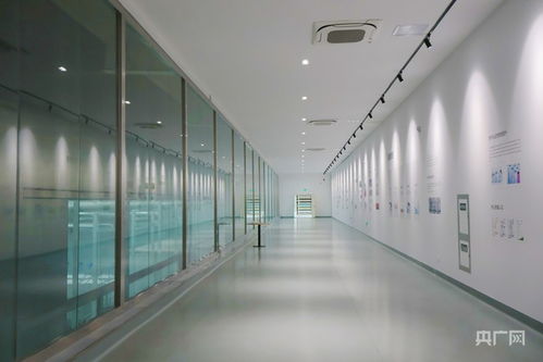 青听经济之声丨动能集聚添活力 西引力澎湃升级 技术服务